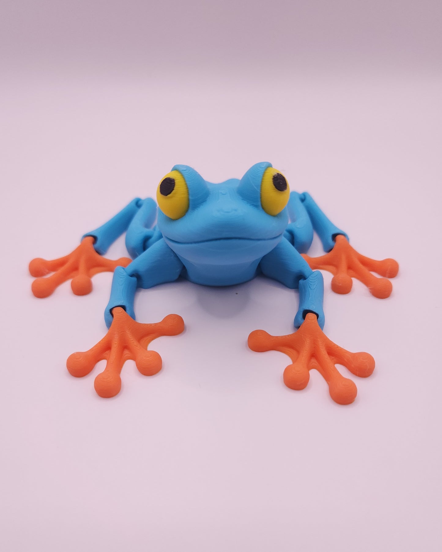 Tree Frog