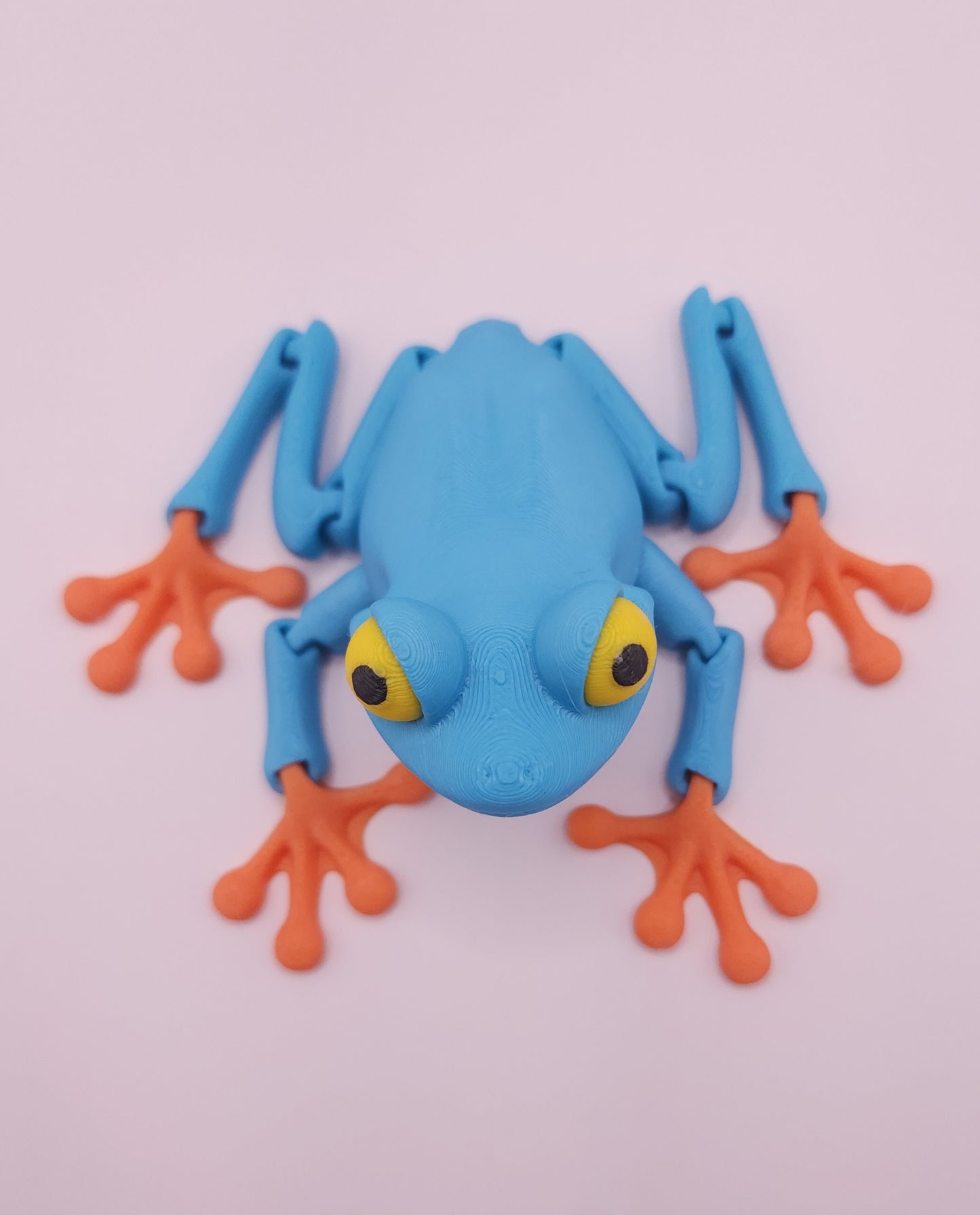 Tree Frog