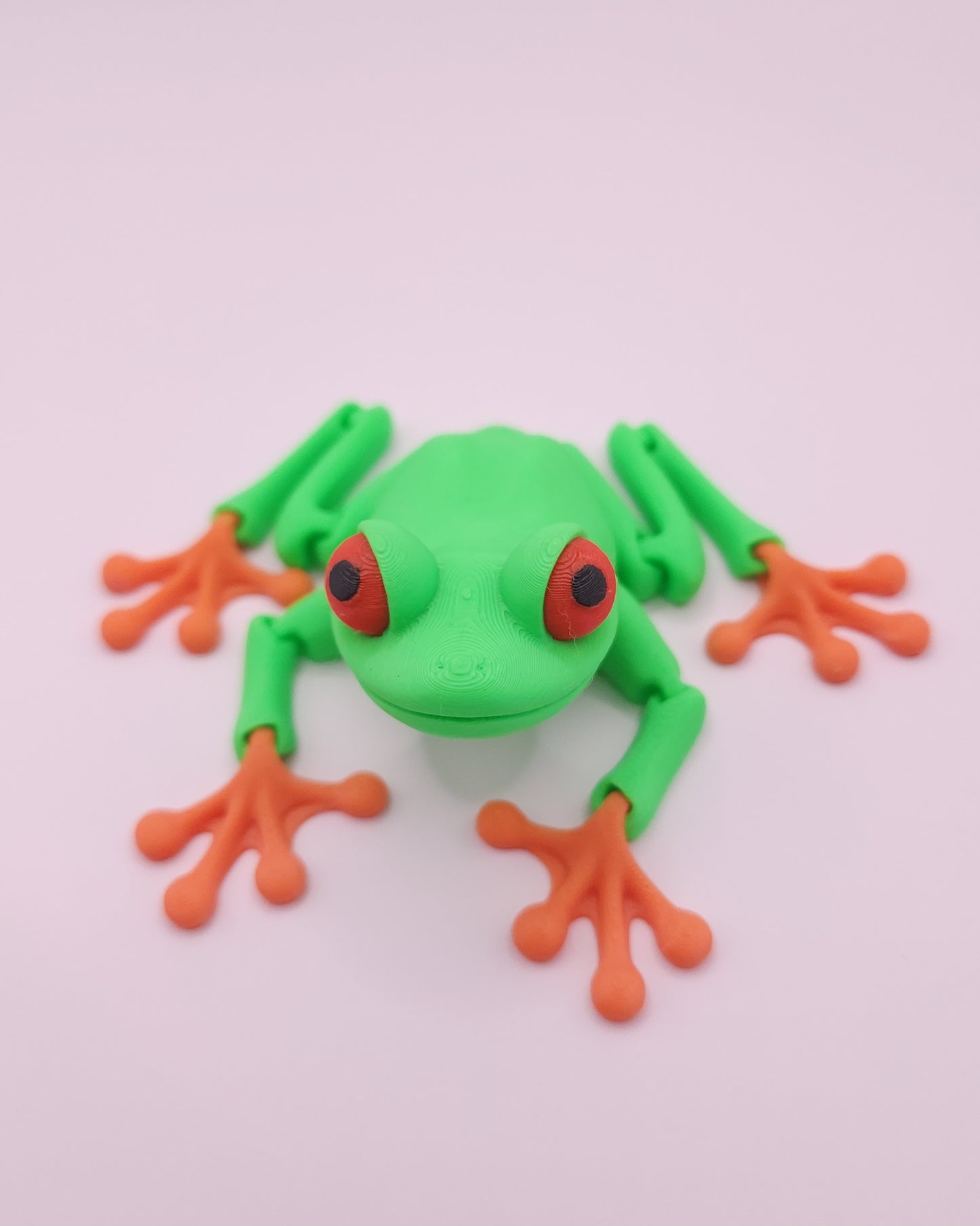Tree Frog