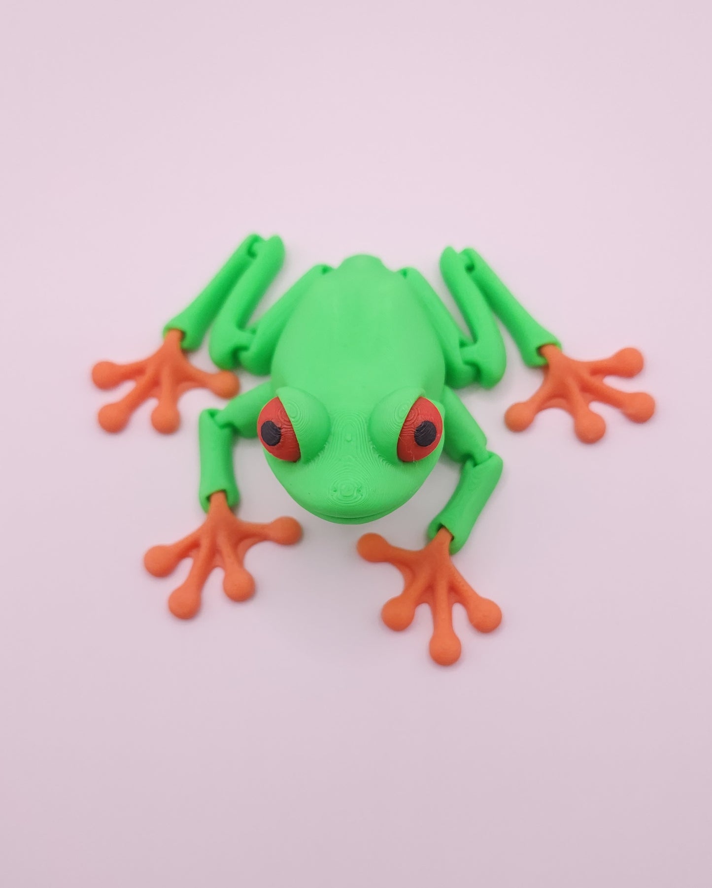 Tree Frog