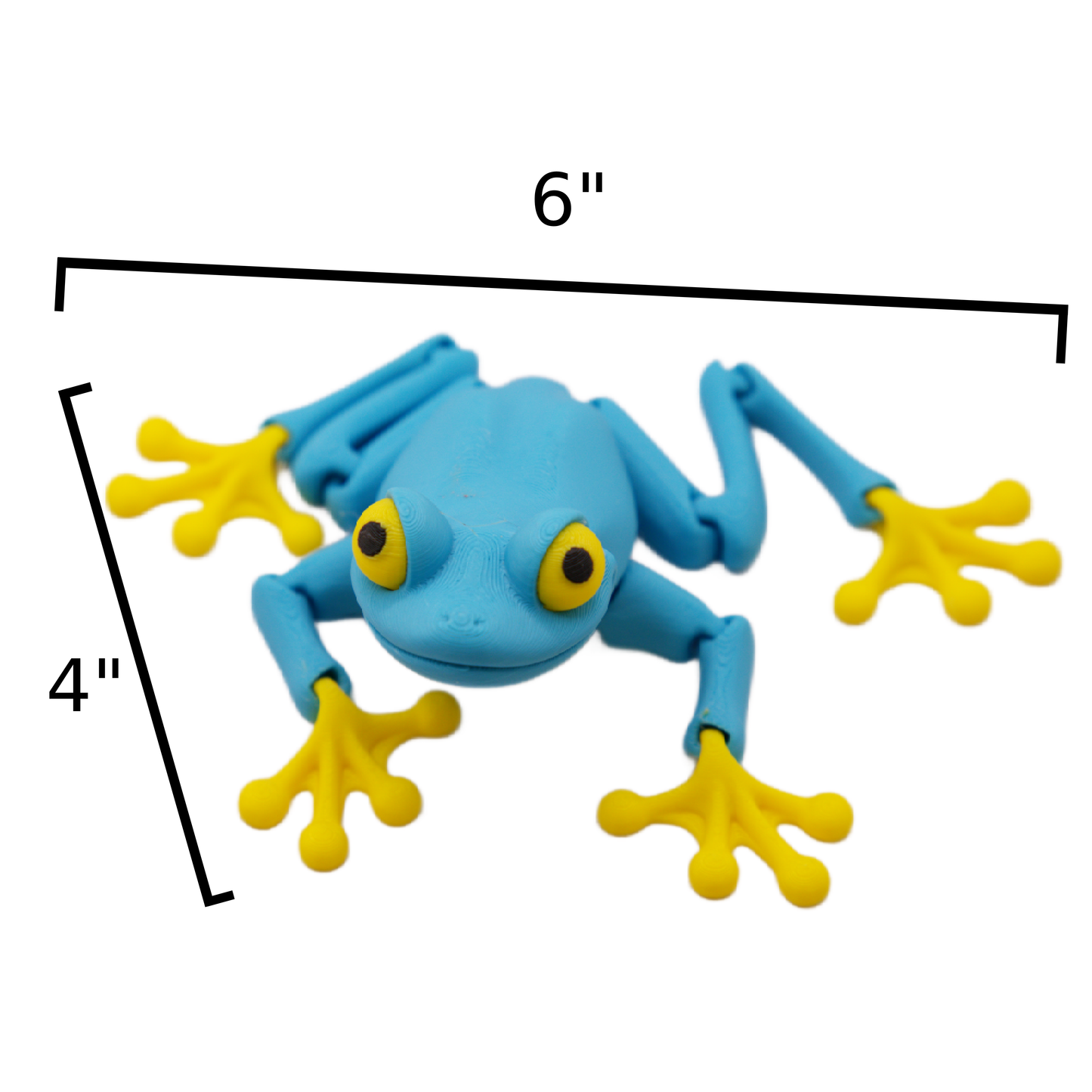 Blue Tree Frog