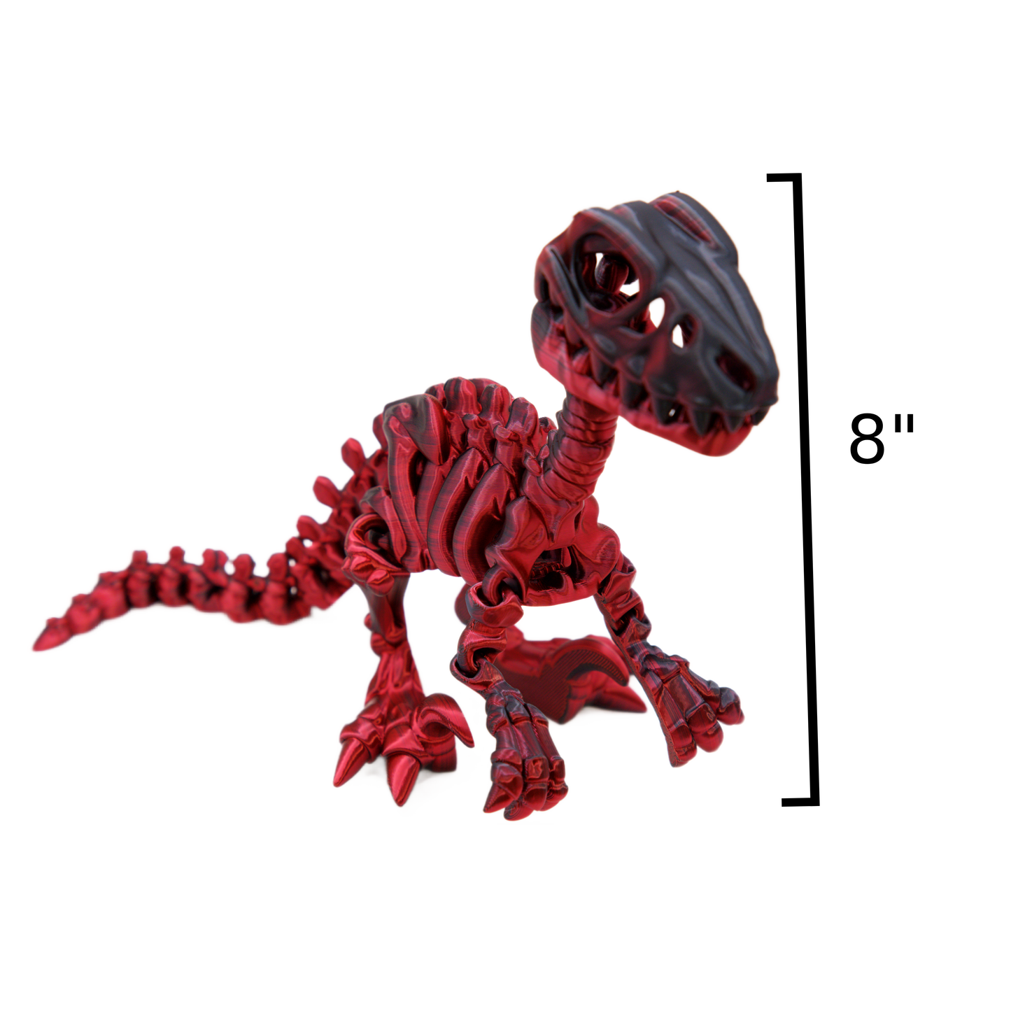 T-Rex Skeleton