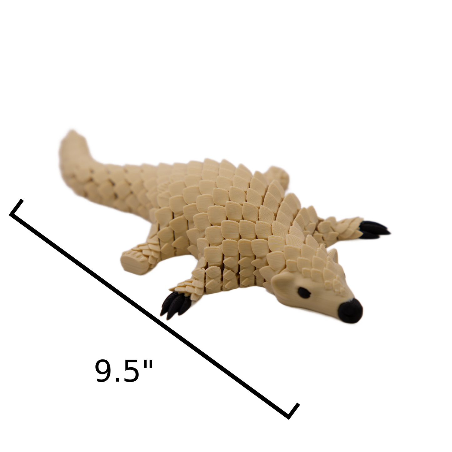 Pangolin