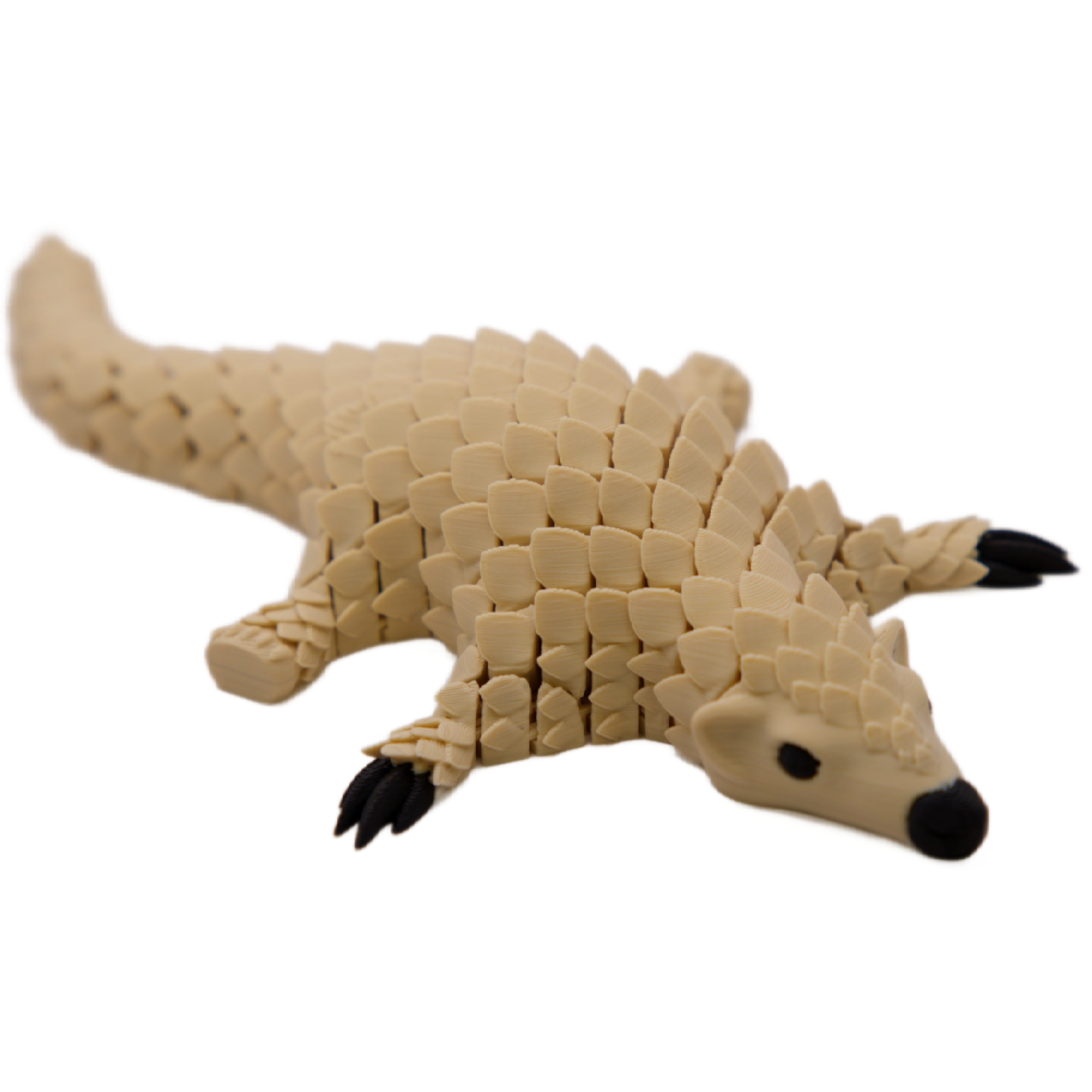 Pangolin – Mullins Made