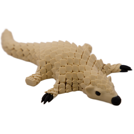 Pangolin