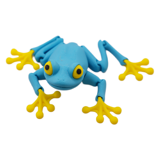 Blue Tree Frog