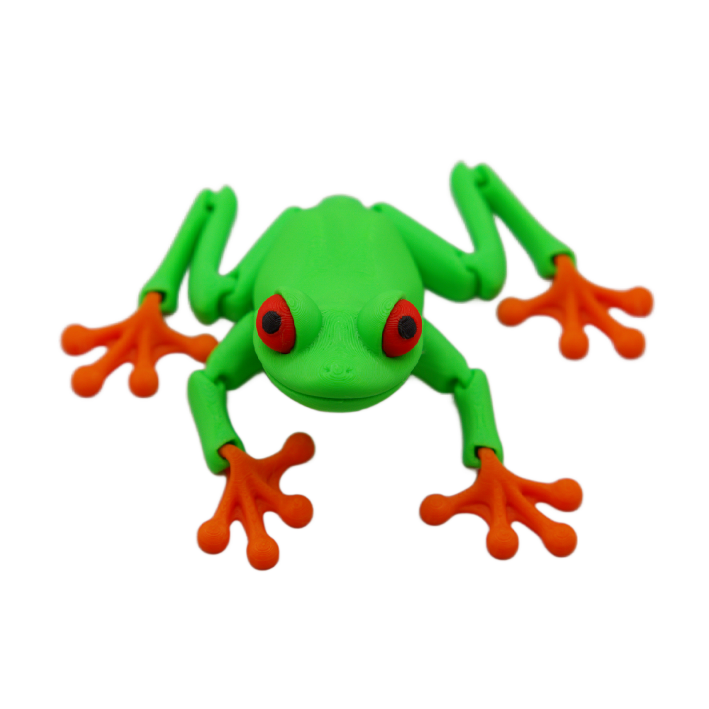 Red Eye Tree Frog