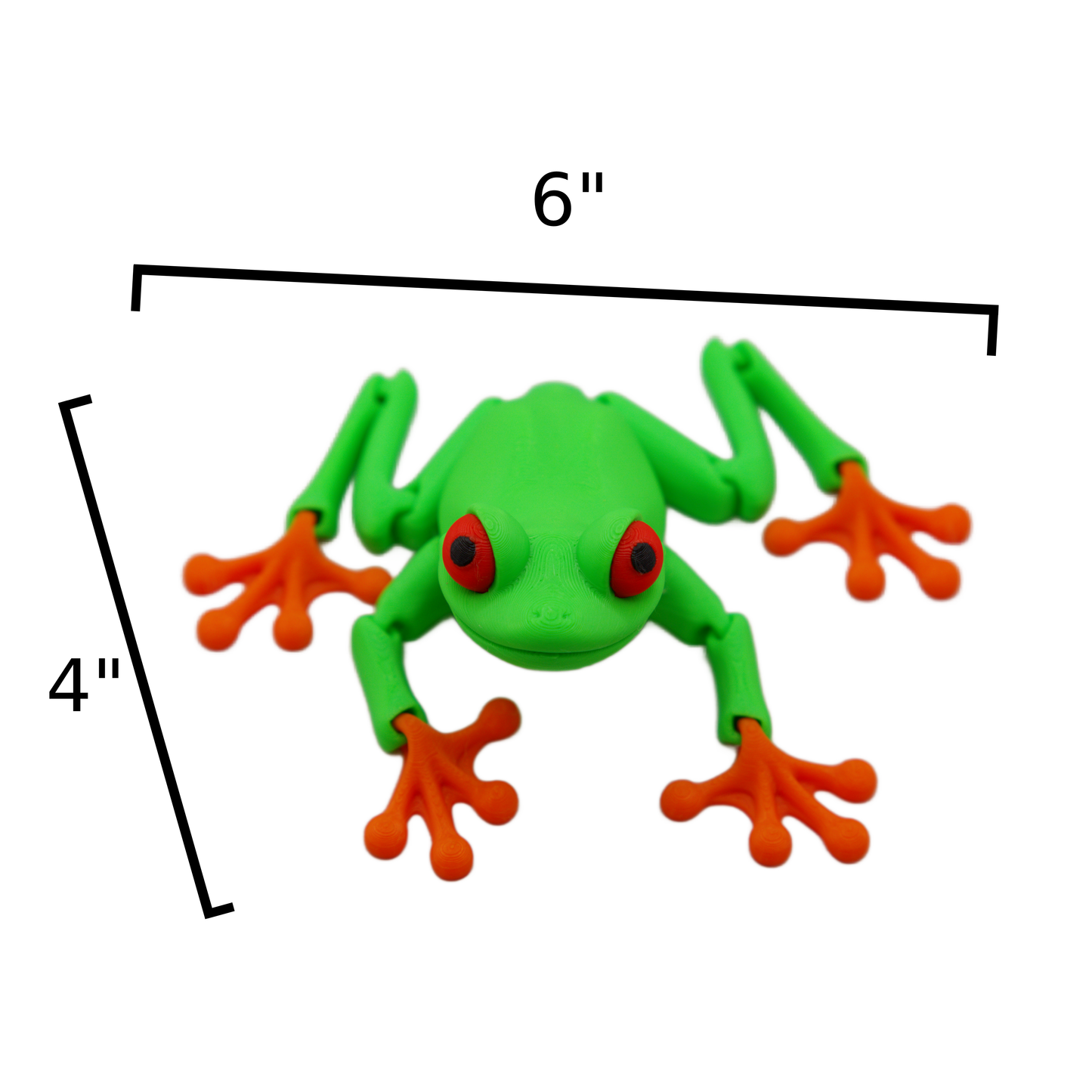 Red Eye Tree Frog