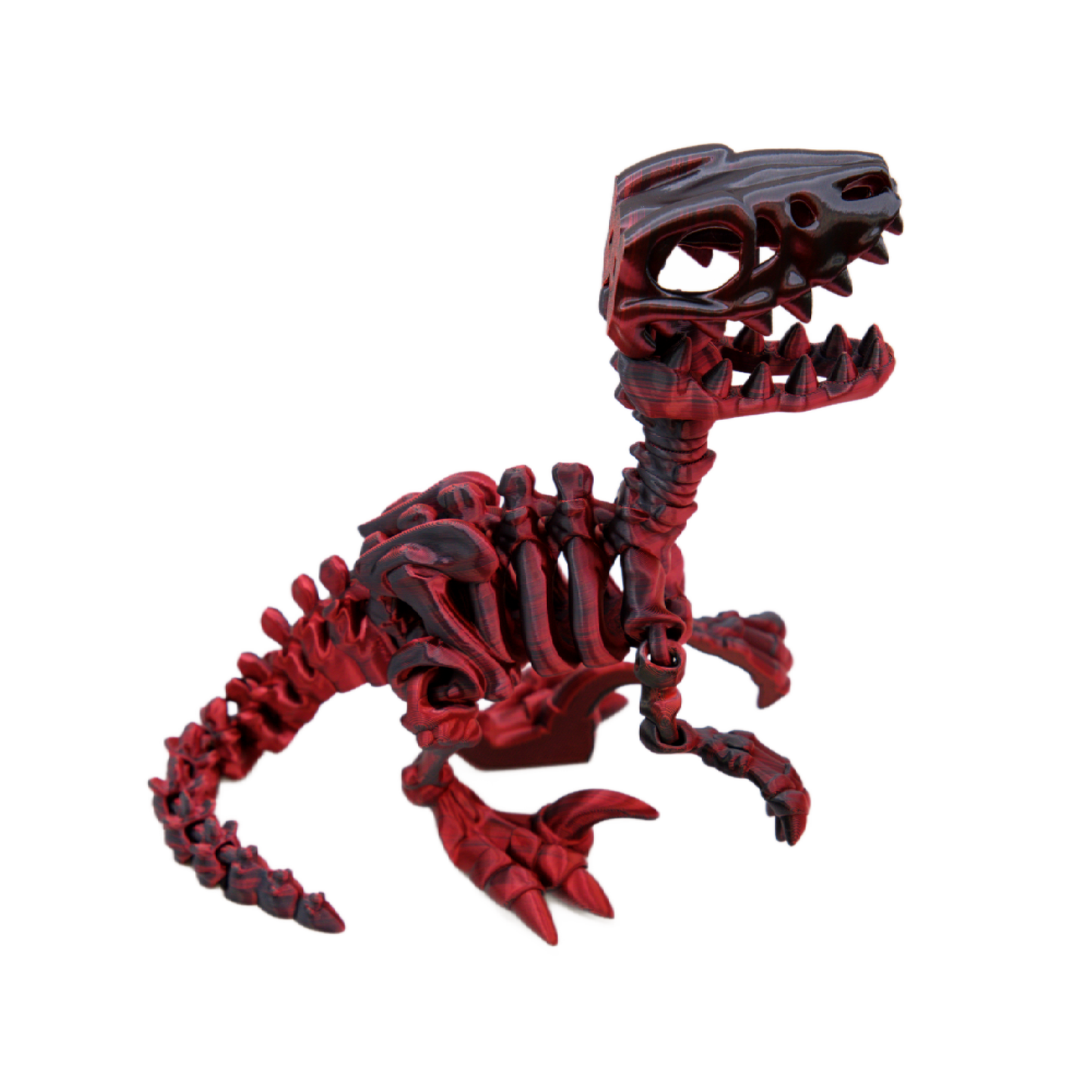 T-Rex Skeleton